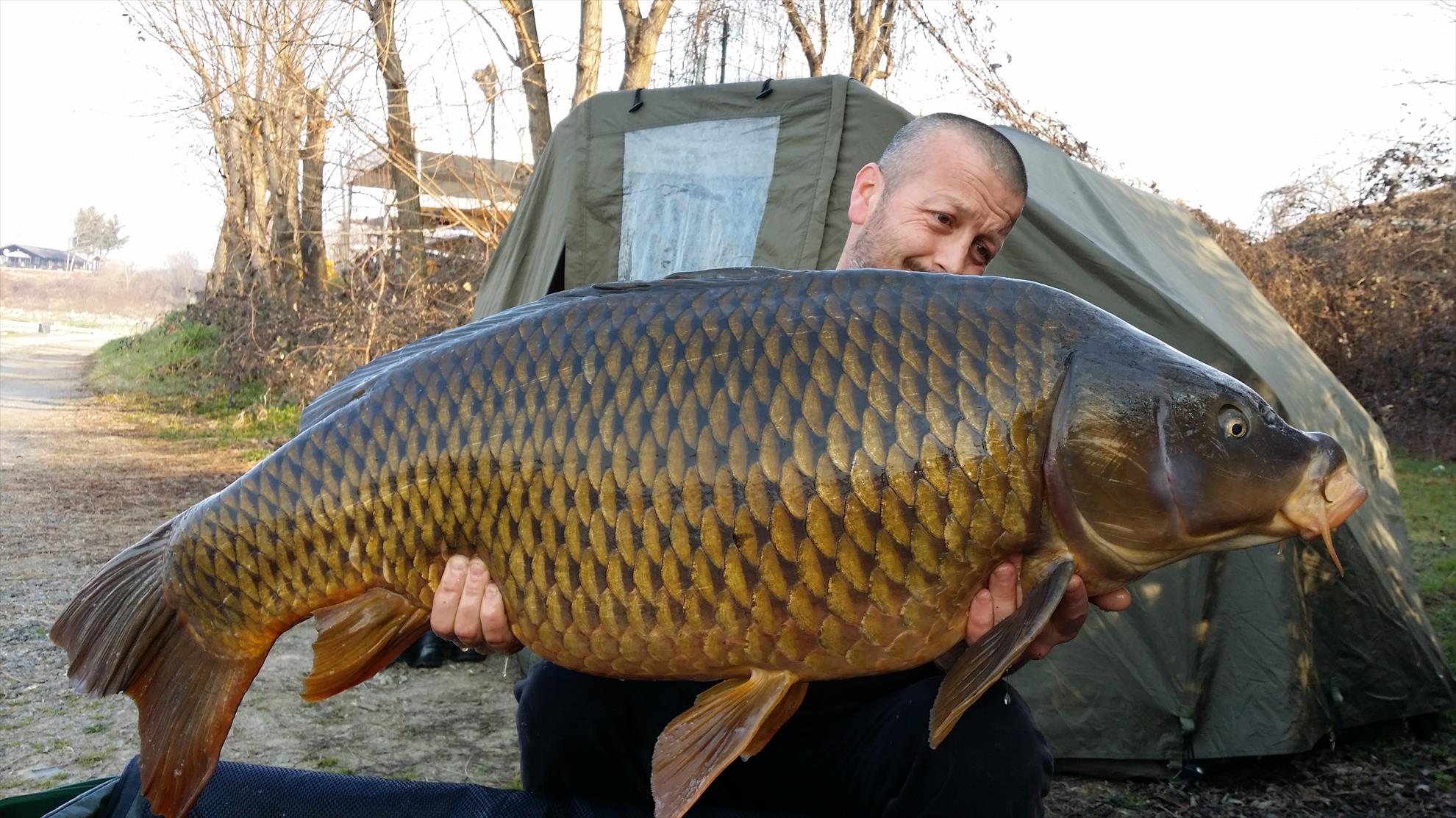 Isola 2015  - 20150313085945.jpg